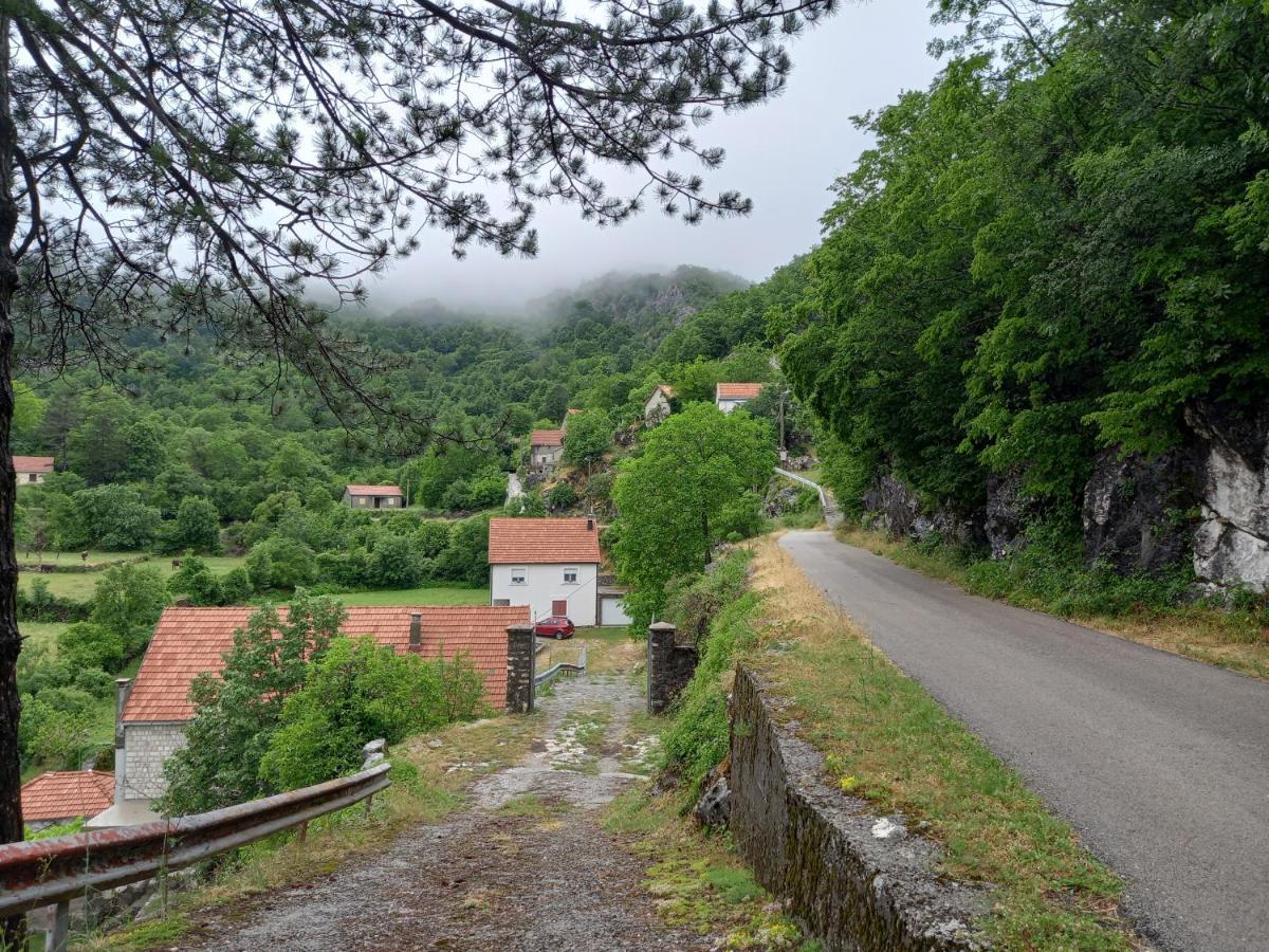 Konak Ugnji-Village Τσέτινιε Εξωτερικό φωτογραφία